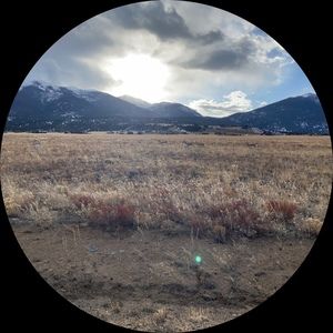 Meet your Posher, Jeanine